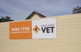 Mont Albert Vet Building Signs