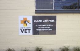 Mont Albert Vet Building Signs